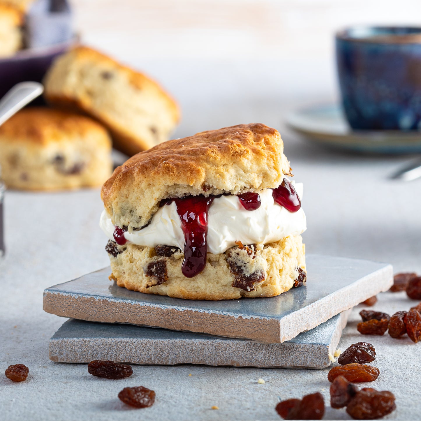 ヘイウッド＆バジェット クロテッドクリーム＆サルタナレーズン スコーン 280g